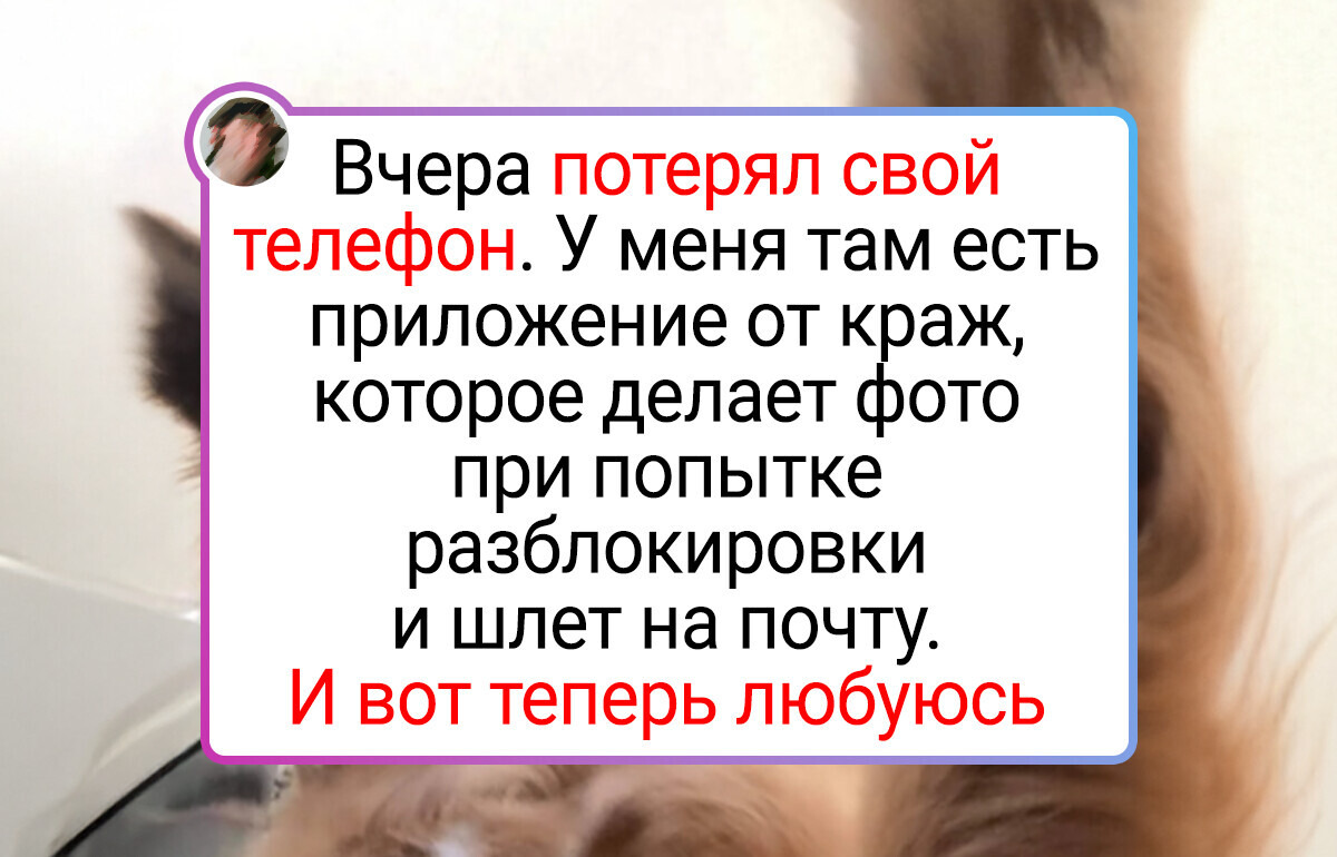 19 чудаковатых питомцев, которым на роду написано шкодить