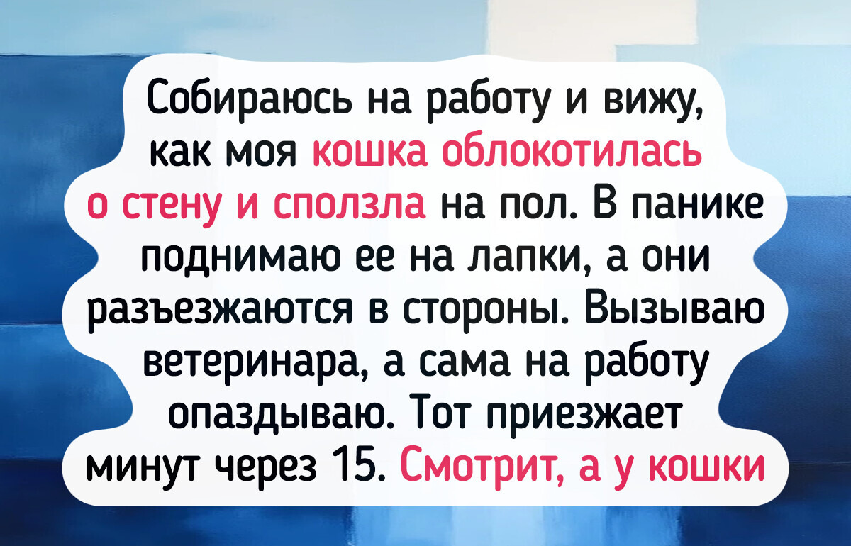 13 ветеринарных осмотров, которые запомнились и питомцам, и хозяевам, и врачам