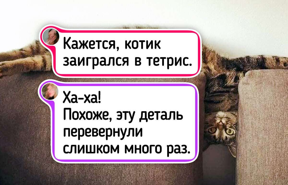 20+ забавных фото, глядя на которые начинаешь верить, что кошки — это жидкость