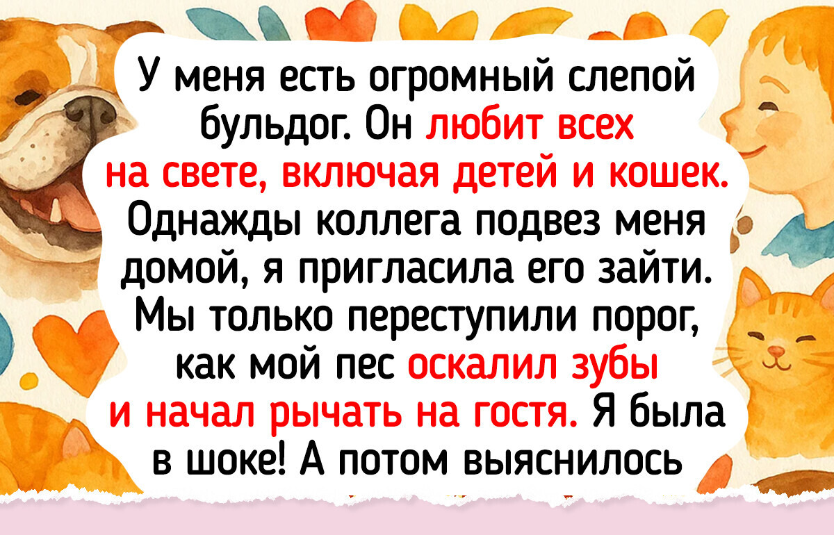 15 животных, которые показали, что разум и доброта — это не только человеческие черты