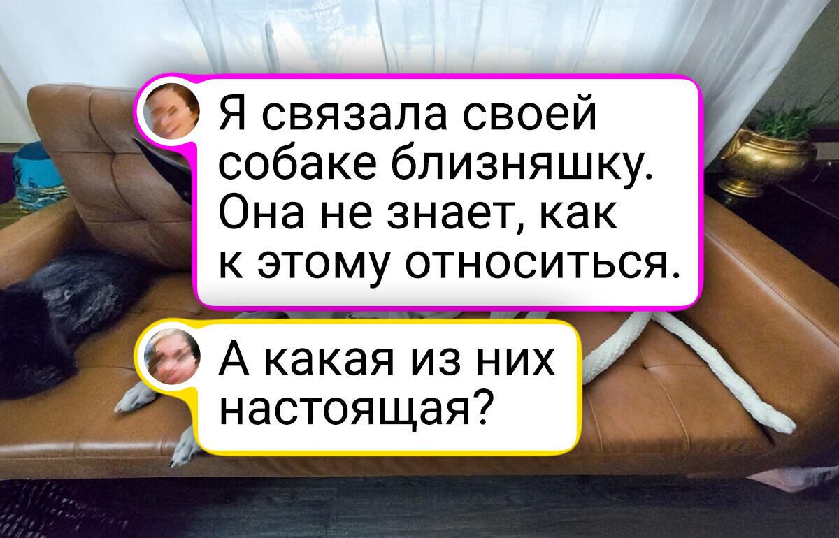 20+ неординарных вещей, которые люди связали, и теперь мы не можем оторвать глаз 20+ неординарных вещей, которые люди связали, и теперь мы не можем оторвать глаз