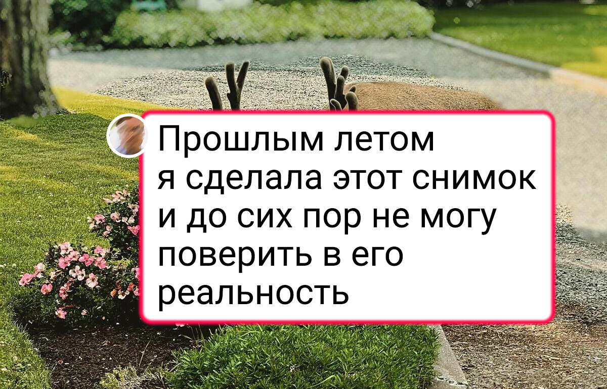 20 человек, которые научились искать счастье в маленьких житейских радостях 20 человек, которые научились искать счастье в маленьких житейских радостях