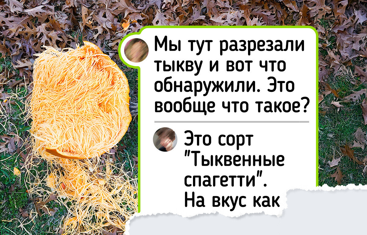 15+ раз, когда природа выдала такое, что остается только спрашивать: «Это еще что?»