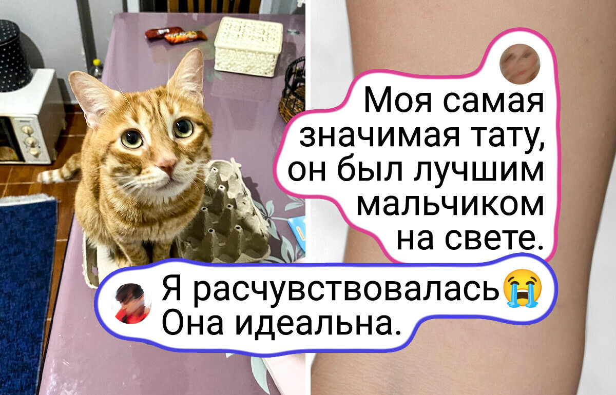 13 человек сделали тату, о которых вряд ли когда-то пожалеют 13 человек сделали тату, о которых вряд ли когда-то пожалеют