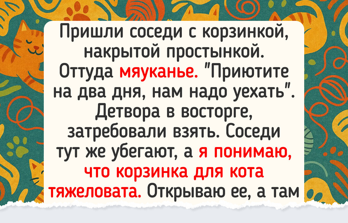 16 историй с юмором, где финал оказался таким же внезапным, как и конец лета