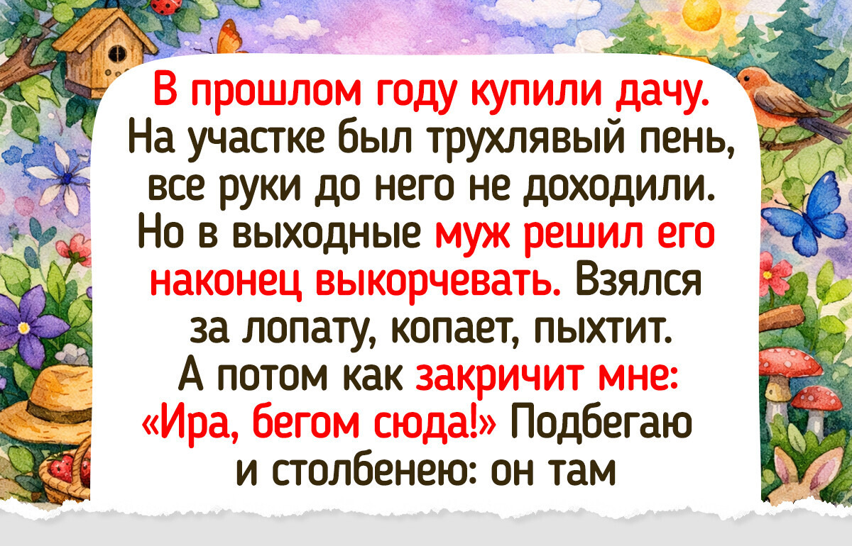 17 фото и историй о дачных находках, которые принесли людям кучу маленьких радостей