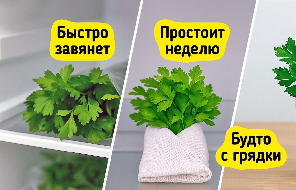 Вы удивитесь! 12 продуктов, которые мы всегда хранили неправильно Вы удивитесь! 12 продуктов, которые мы всегда хранили неправильно