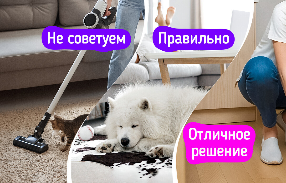 10 рабочих лайфхаков для владельцев кошек и собак, которые помогут держать дом чистым