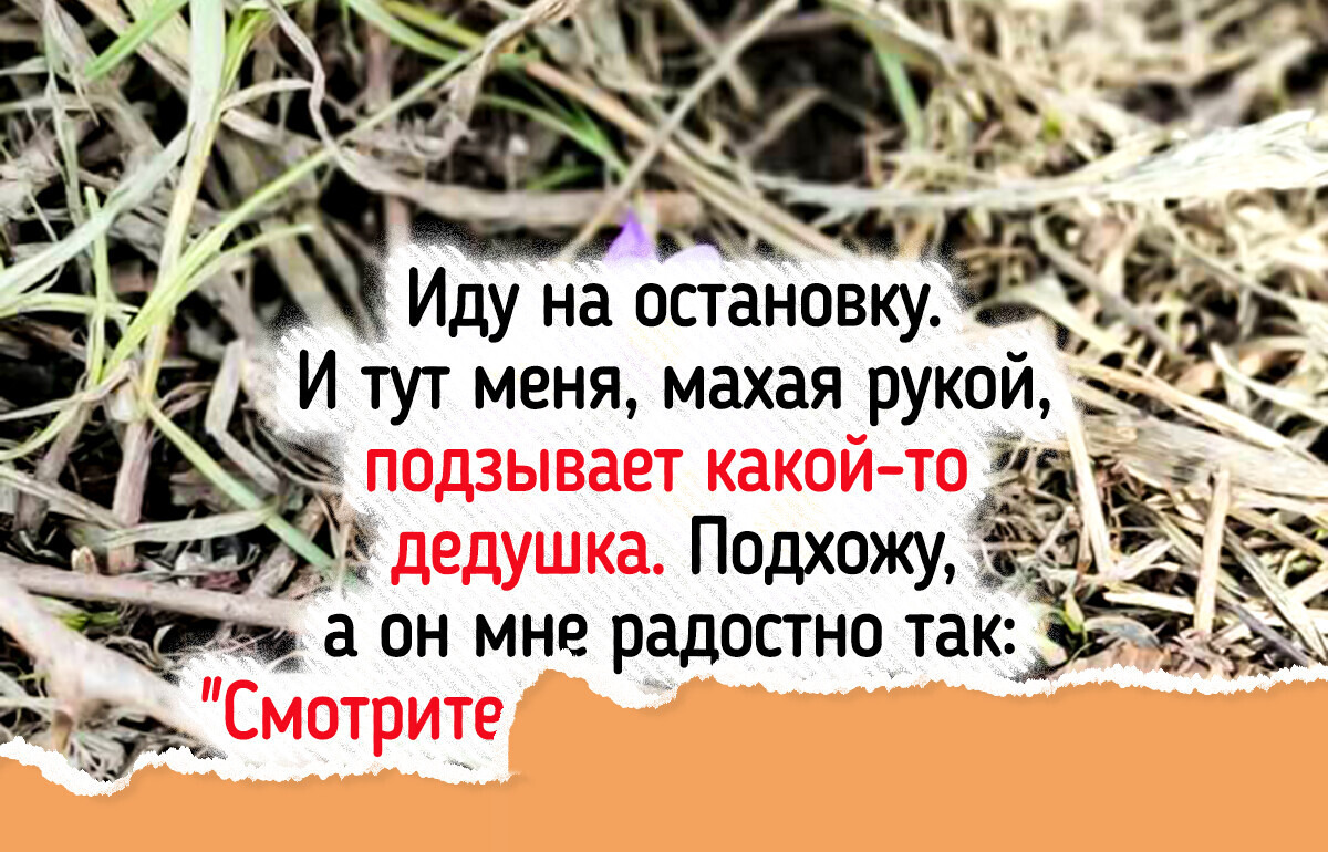 18 весенних наблюдений, после которых сердце теплее, чем воздух 18 весенних наблюдений, после которых сердце теплее, чем воздух