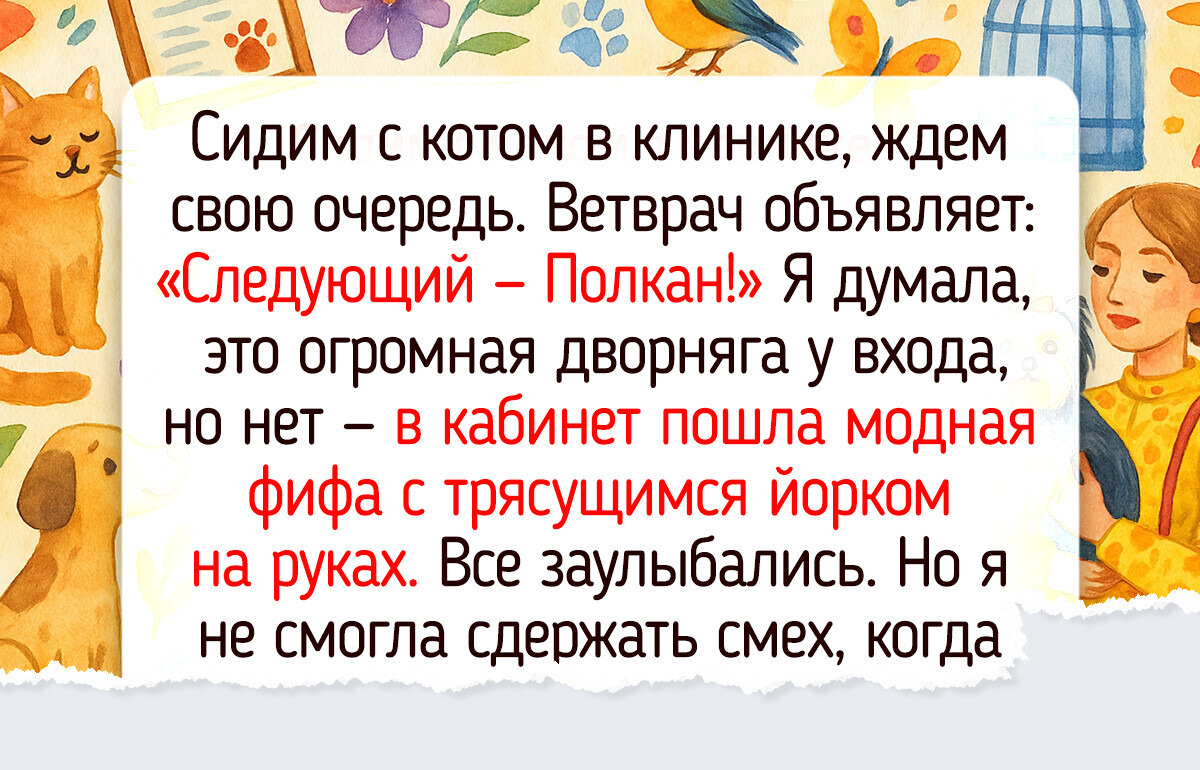 20+ кличек питомцев, услышав которые, вы рассмеетесь прямо в очереди к ветеринару 20+ кличек питомцев, услышав которые, вы рассмеетесь прямо в очереди к ветеринару