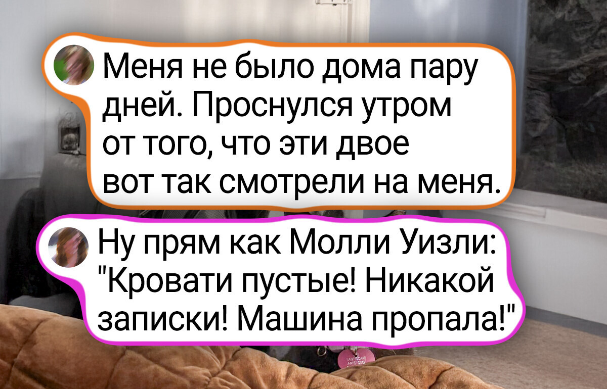 16 мохнатых, у которых харизма так и прет