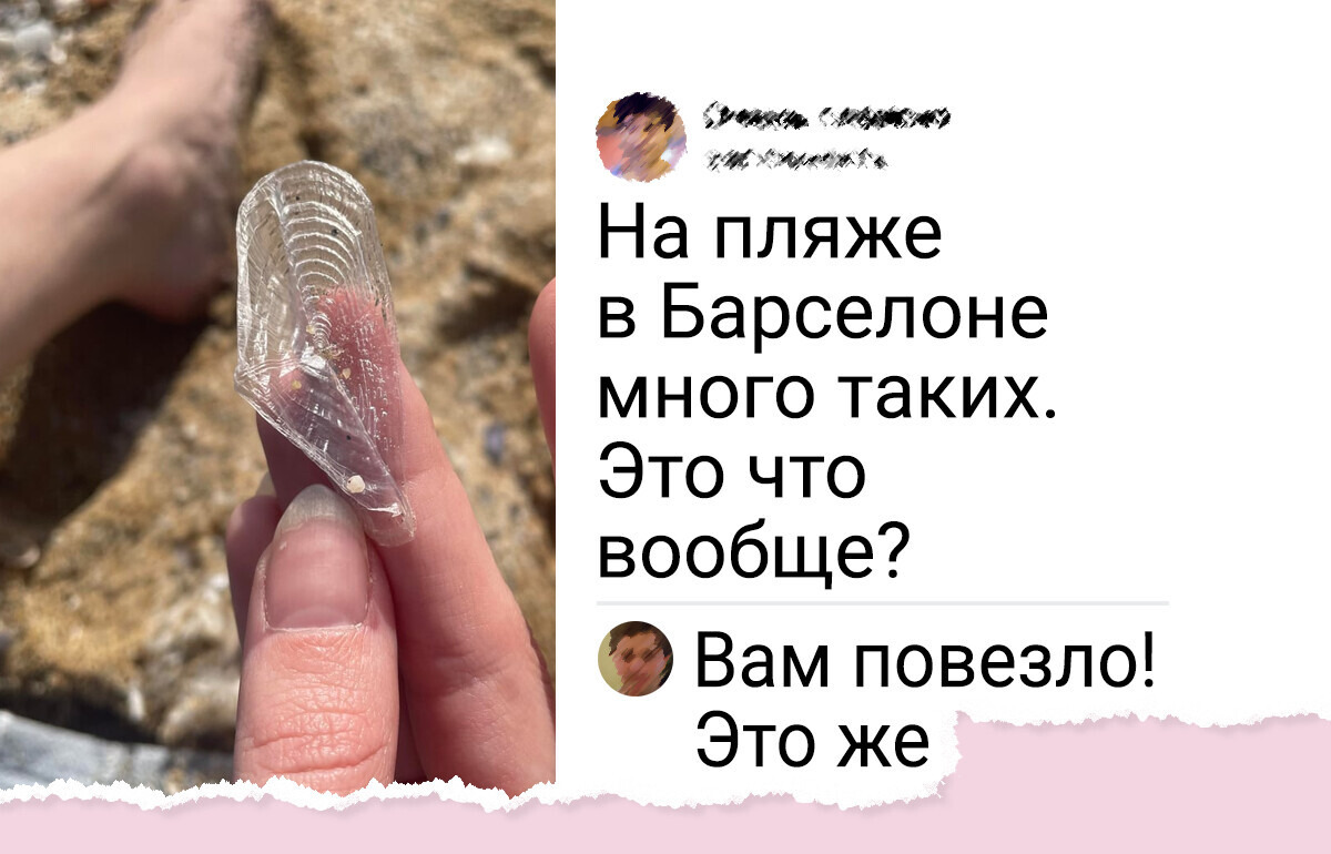 15 счастливчиков, которые вышли на пляж и наткнулись на диво дивное