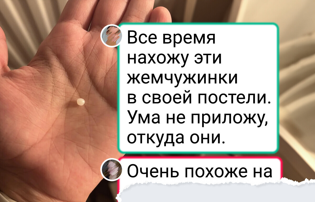 15 фото, которые хочется прокомментировать словами: «Ну и дела»