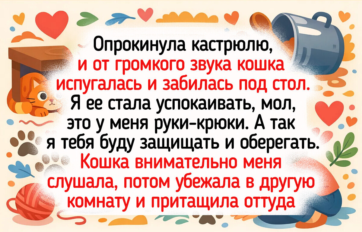 18 питомцев, которые установили в доме свои правила, а хозяева фонтанируют эмоциями 18 питомцев, которые установили в доме свои правила, а хозяева фонтанируют эмоциями