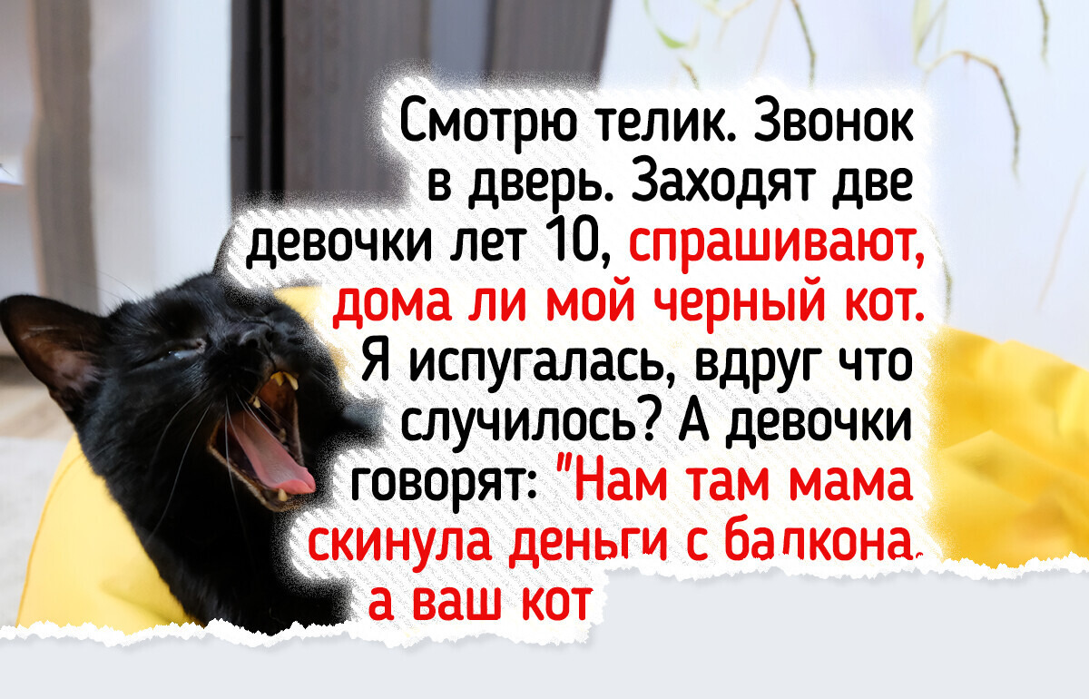 22 питомца, которые творят что хотят, а их хозяевам остается только хвататься за телефон и за сердце