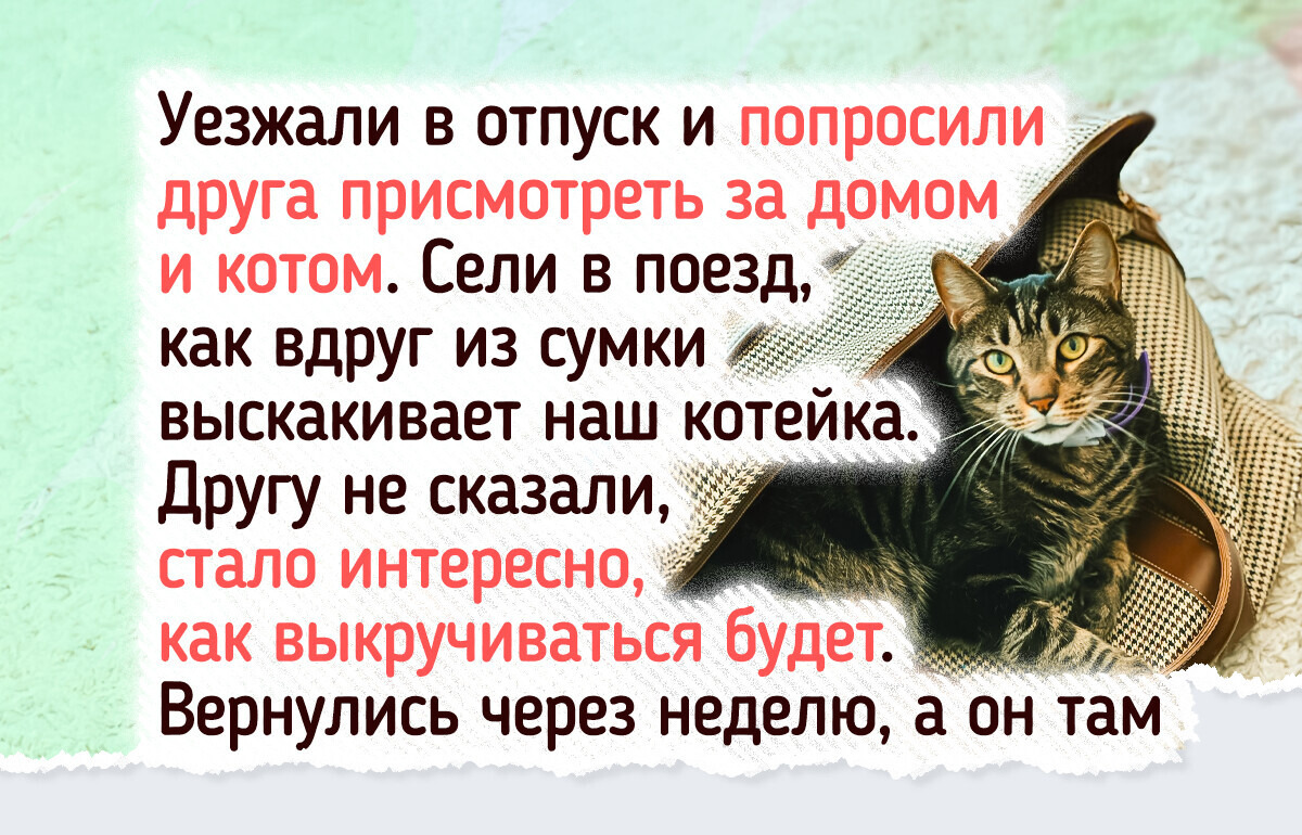 15 человек, у которых смекалка работает на полную катушку 15 человек, у которых смекалка работает на полную катушку