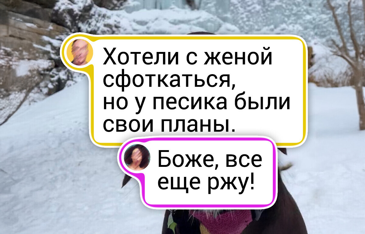 14 кадров, где все пошло не по плану, но от этого стало даже прикольнее