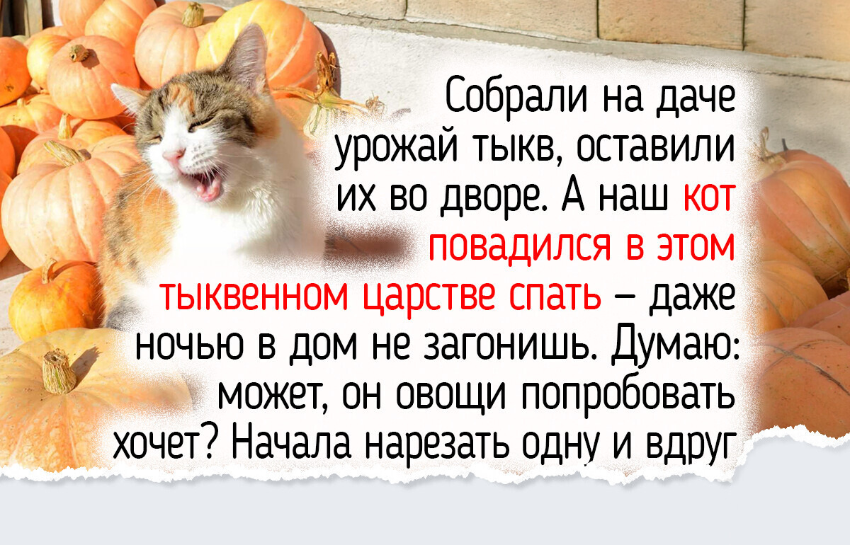 Я считаю осень лучшим временем года и расскажу, как почувствовать ее тепло и маленькие радости