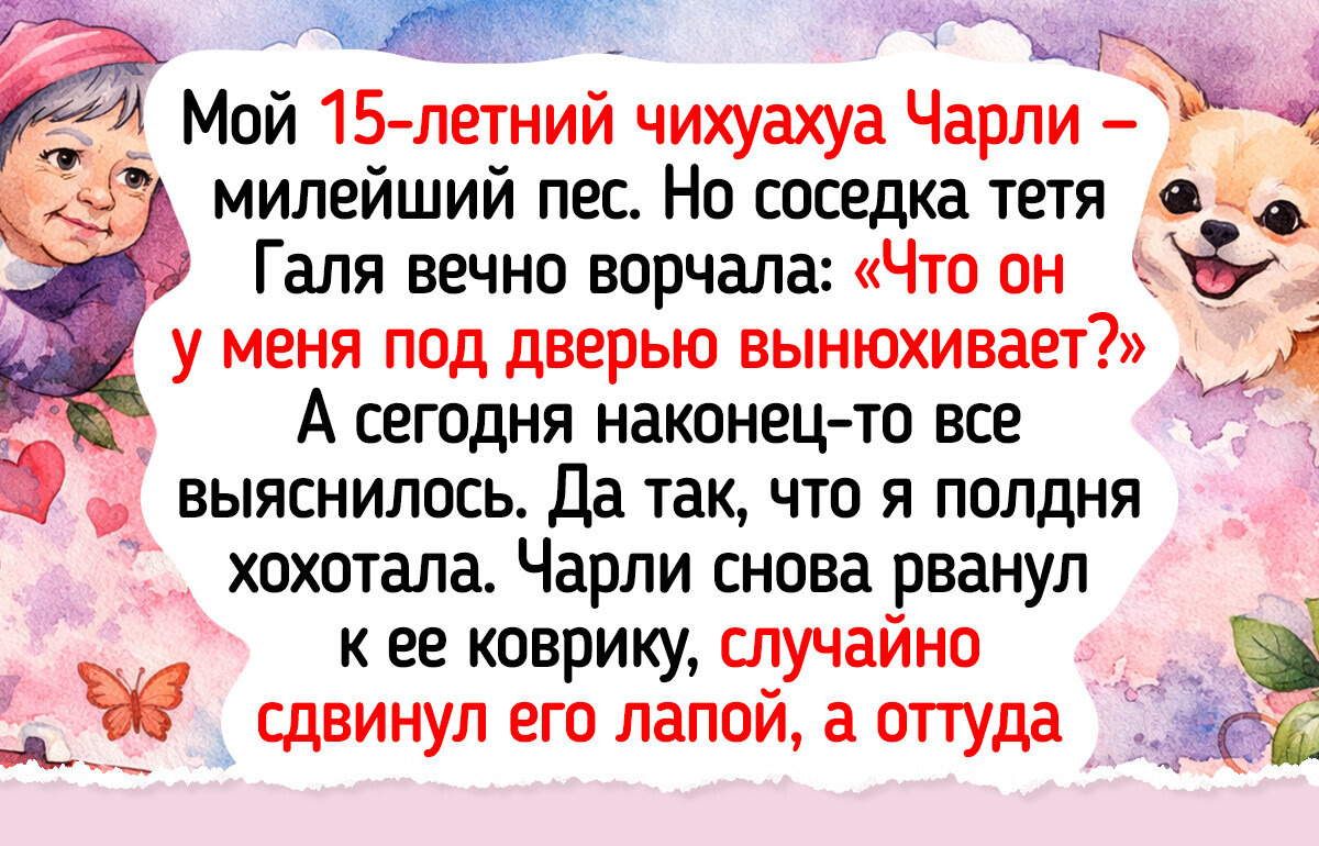 17 питомцев-старичков, для которых годы — не помеха маленьким радостям и большой любви 17 питомцев-старичков, для которых годы — не помеха маленьким радостям и большой любви