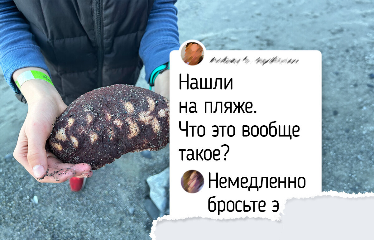 14 находок на пляже, которые закончились вопросом «Что это вообще такое?»