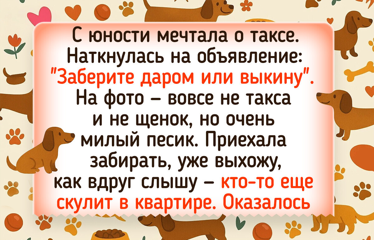 16 трогательных историй о собаках, читая которые думаешь: "Я что, за интернет плачу чтобы плакать?"