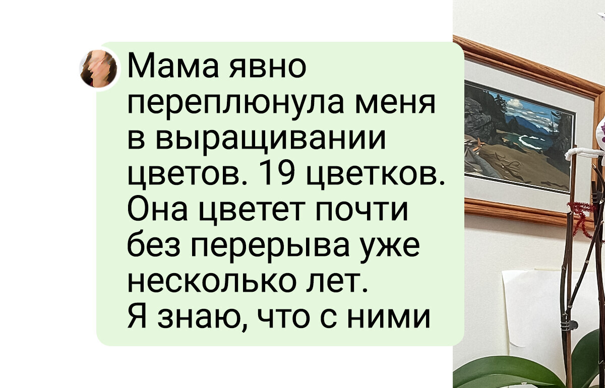 18 цветоводов, которые и на подоконнике в многоэтажке вырастят тропический лес