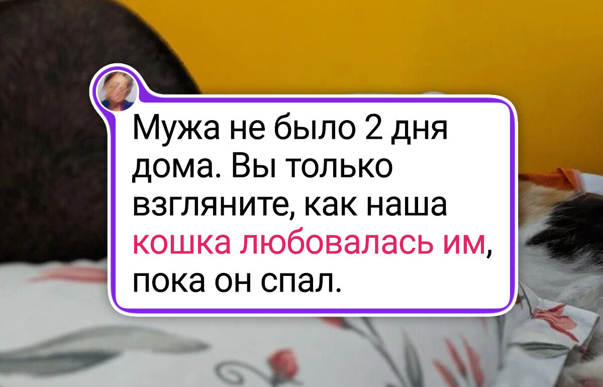 25 домашних любимцев, которые могут и поддержать, и рассмешить своих двуногих
