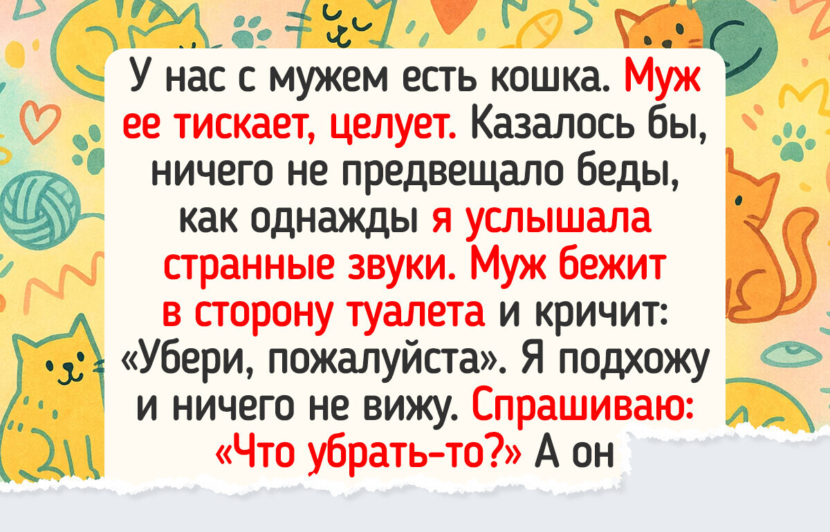 20+ историй о котиках, после которых вы скажете: «Это про меня!» 20+ историй о котиках, после которых вы скажете: «Это про меня!»