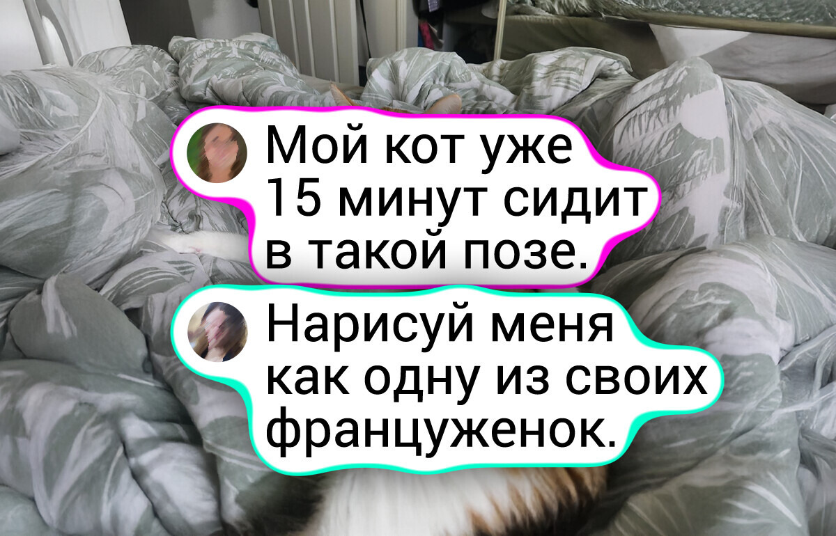 17 фото, которые четко дают понять, что коты — это мастера драмы и комедии 17 фото, которые четко дают понять, что коты — это мастера драмы и комедии