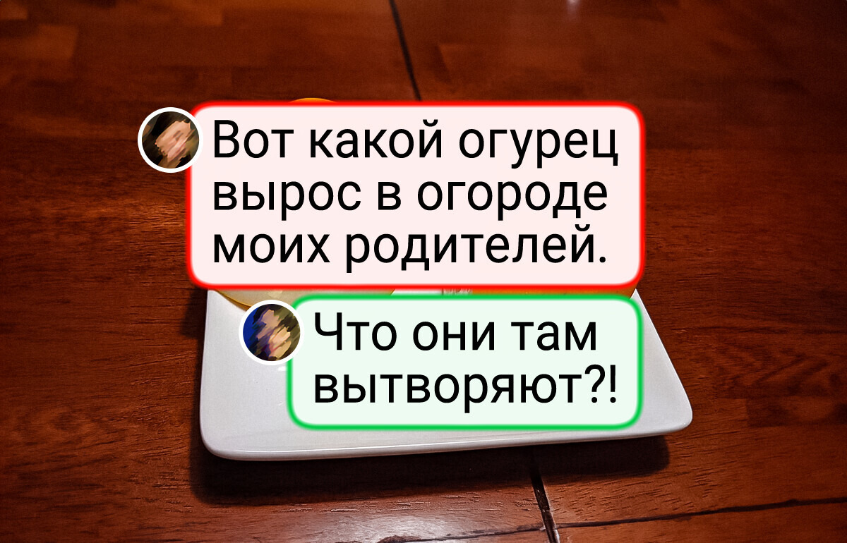 14 дачников, чьи овощи и растения будто прибыли с другой планеты 14 дачников, чьи овощи и растения будто прибыли с другой планеты