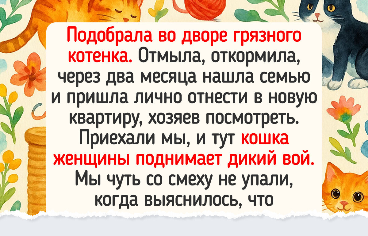 15 человек, которые превратили свою квартиру в зоопарк, и честно рассказали, какой ценой дается это счастье