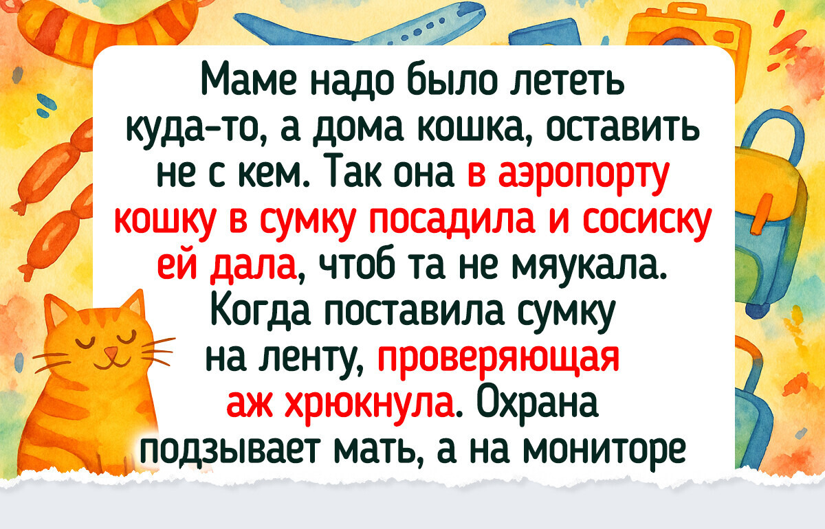 20 ярких историй из аэропортов и самолетов, которые затмят любой сериал
