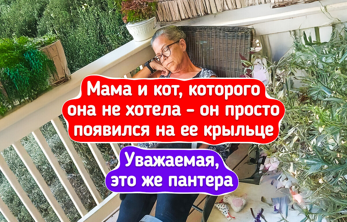 16 питомцев выбрали себе «любимчика» в семье, и теперь этого не скрыть 16 питомцев выбрали себе «любимчика» в семье, и теперь этого не скрыть