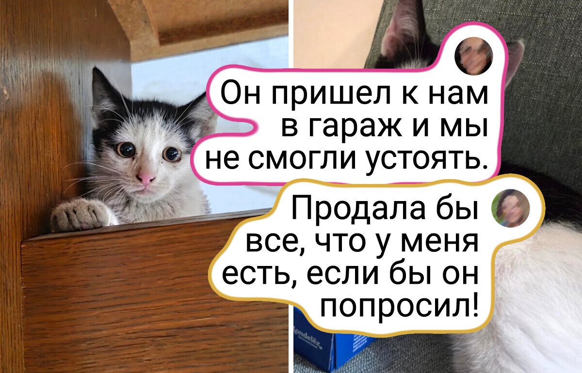 20+ хвостиков, которых жизнь сначала не баловала, а потом будто решила выдать все хорошее разом