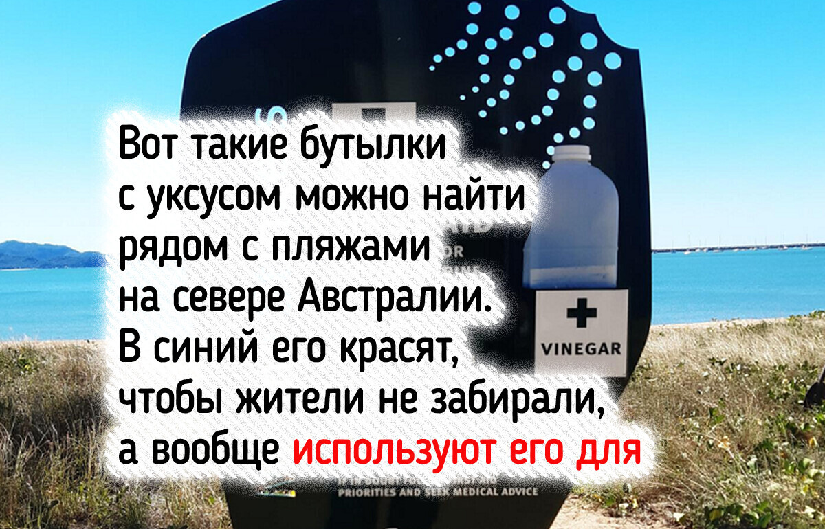 15 фото и историй со всего света, после которых так и хочется сказать: «Вот это поворот!» 15 фото и историй со всего света, после которых так и хочется сказать: «Вот это поворот!»