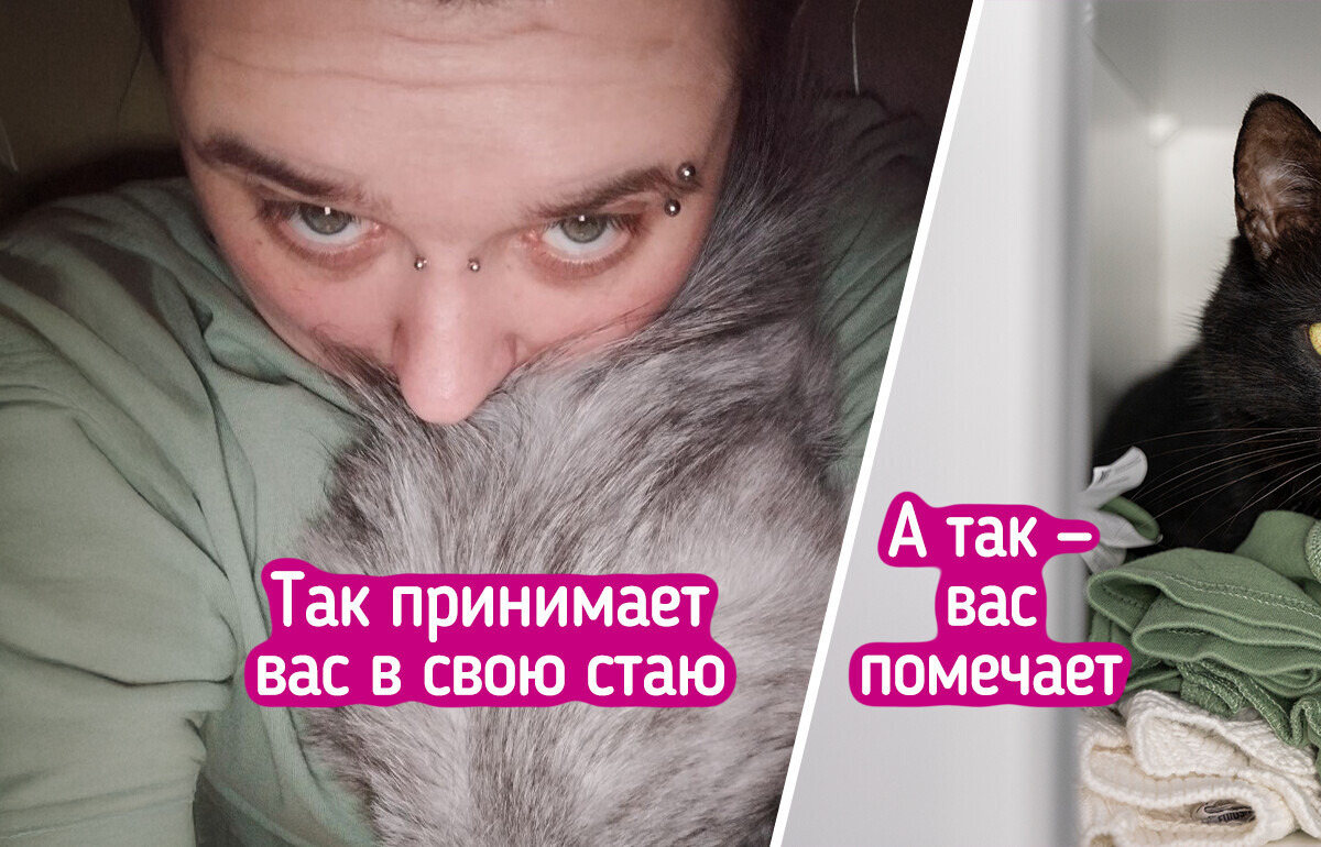 11 признаков того, что ваш домашний питомец на седьмом небе от счастья рядом с вами 11 признаков того, что ваш домашний питомец на седьмом небе от счастья рядом с вами