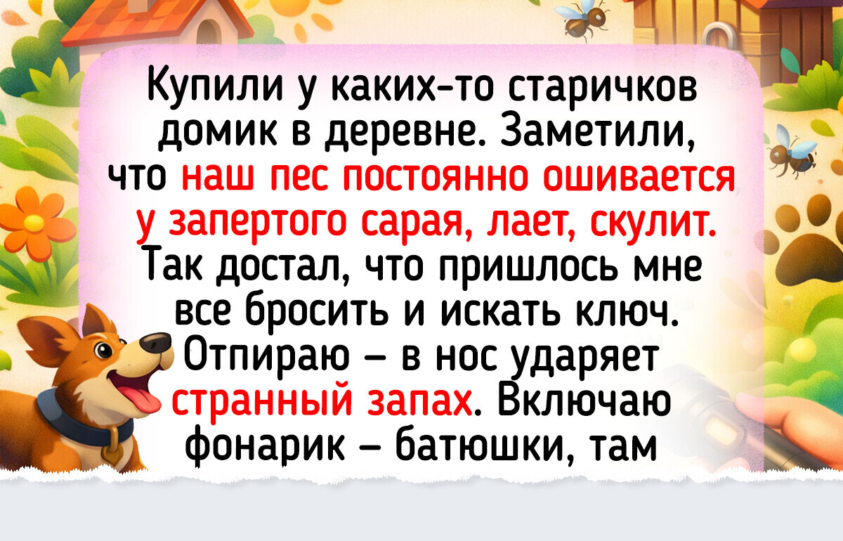 15 живых историй о переезде в деревню, где под окном ржет конь, а соседи меряются кабачками