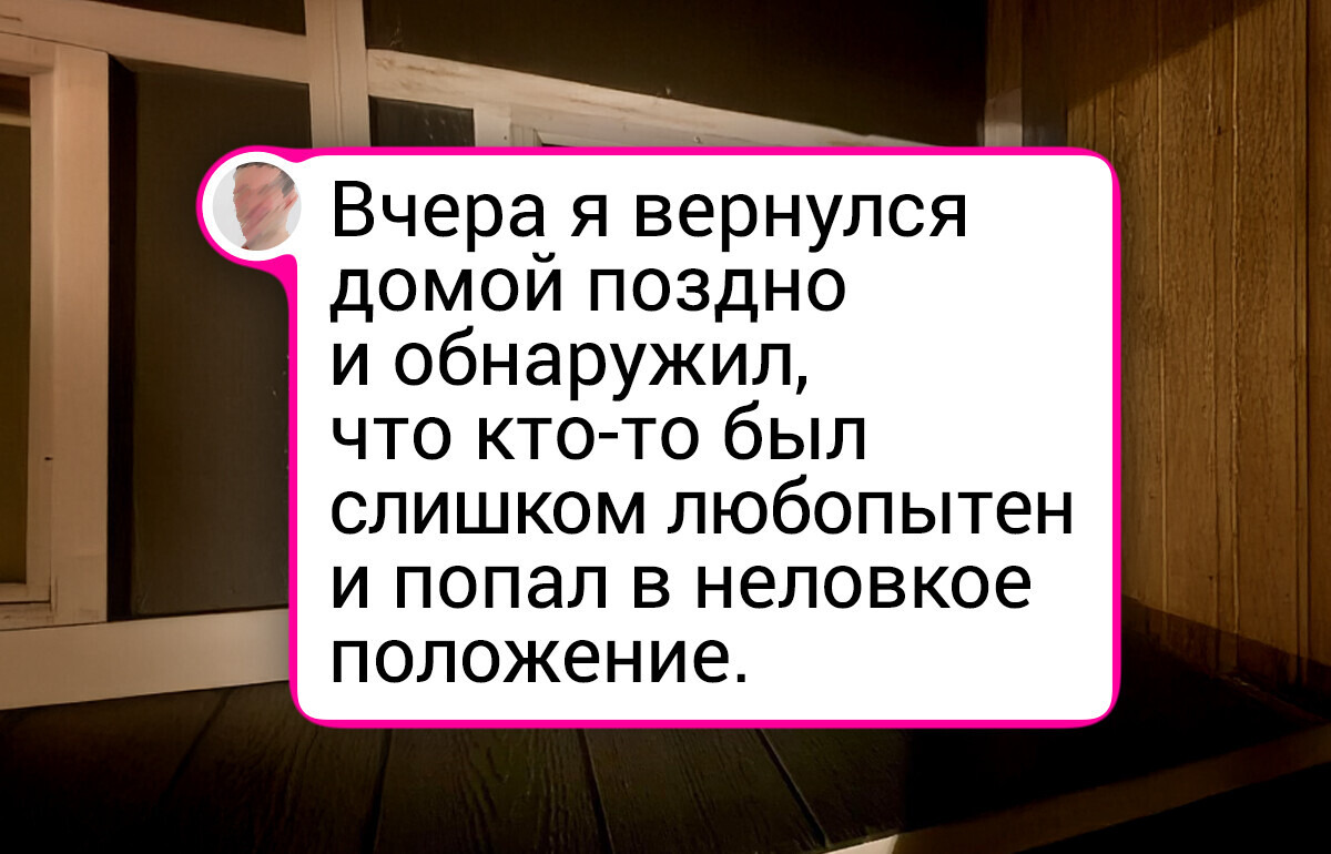 18 питомцев, которые были пойманы на месте преступления, и им ни капельки не стыдно 18 питомцев, которые были пойманы на месте преступления, и им ни капельки не стыдно