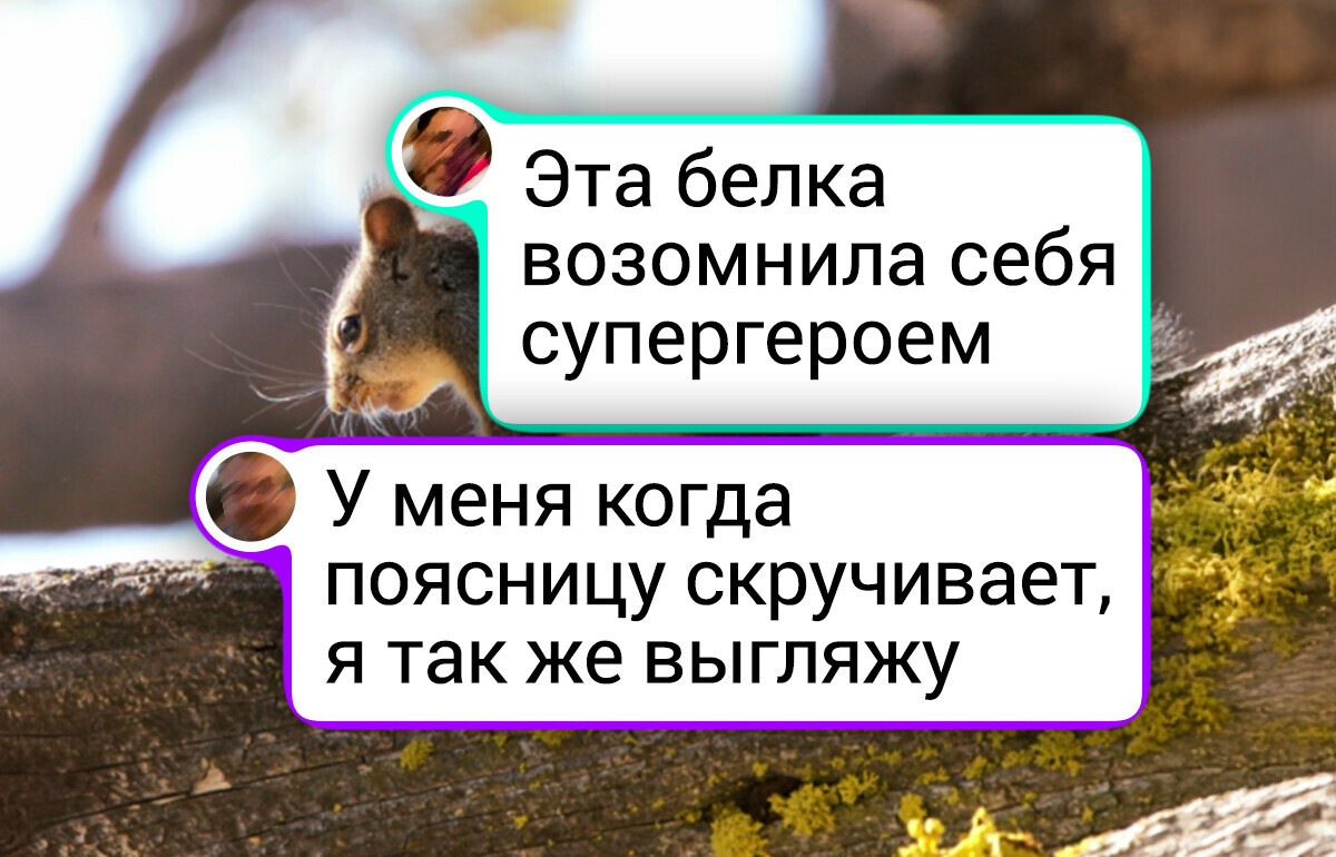 18 диких животных, которые попали в кадр в нужный момент и показали всю свою фотогеничность