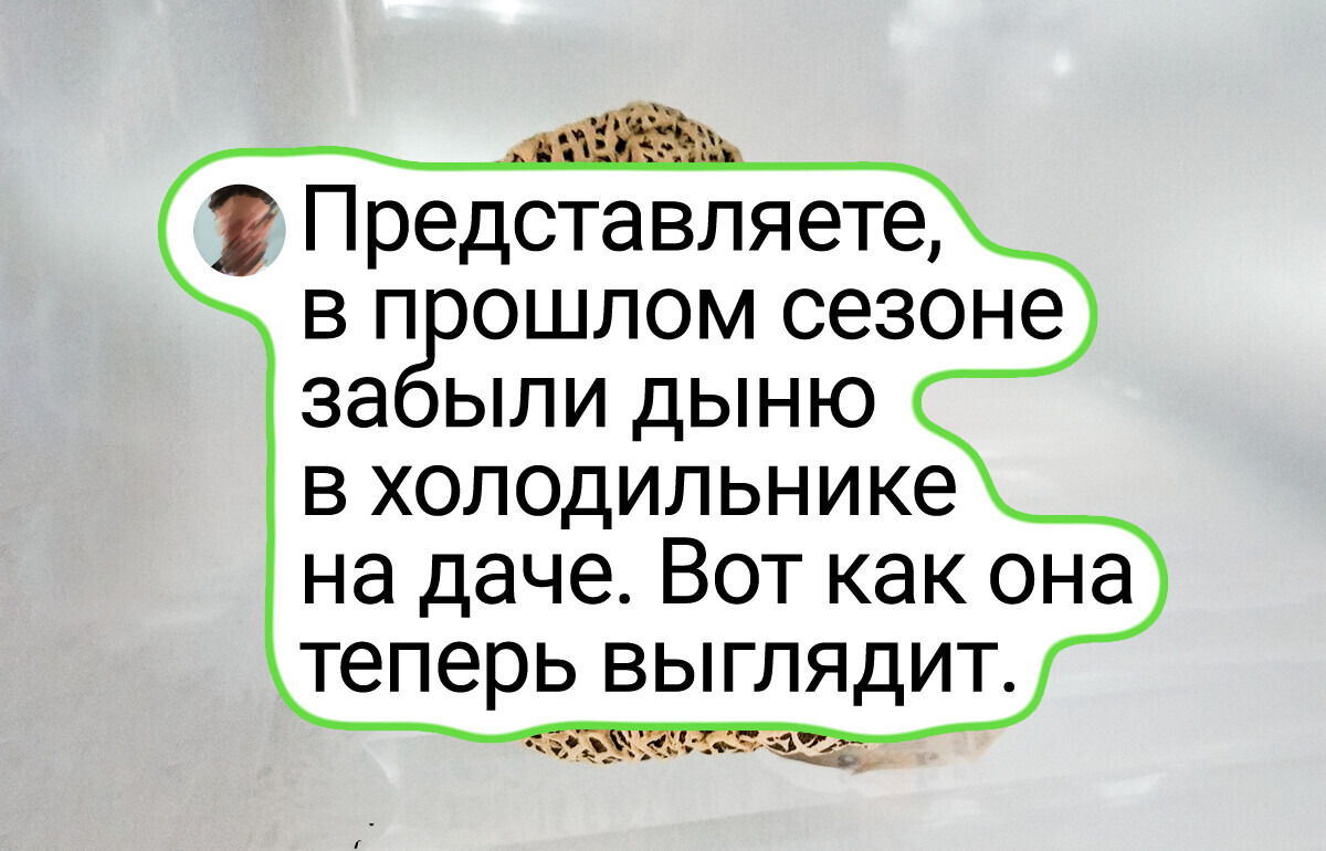 19 человек, которые лично убедились, что забывчивость порой приводит к неожиданным результатам