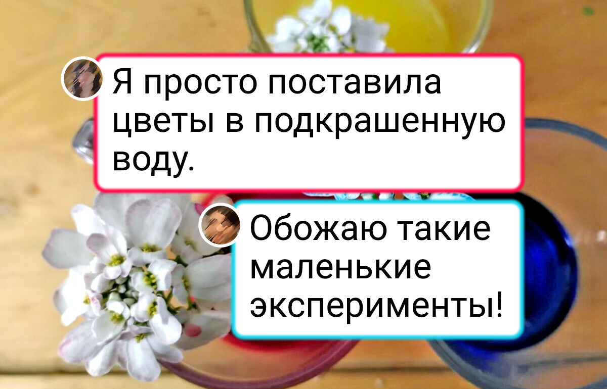 16 впечатляющих снимков, сделанных без обработки и фильтров