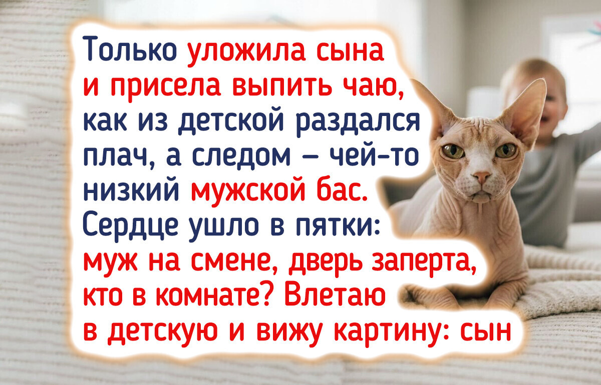 Больше, чем просто кошка: 10 пород с удивительным терпением и реальные истории их дружбы с детьми Больше, чем просто кошка: 10 пород с удивительным терпением и реальные истории их дружбы с детьми
