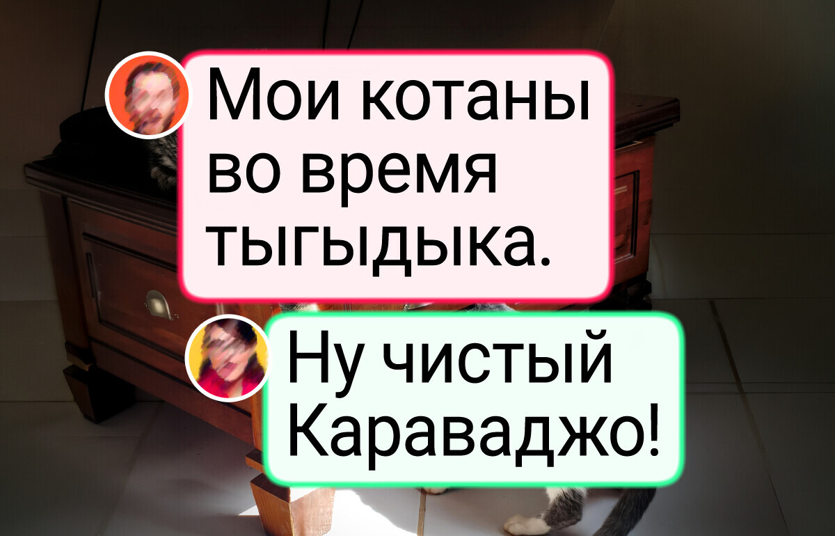 18 случайных снимков, в которых эстетики больше, чем в иных музейных полотнах