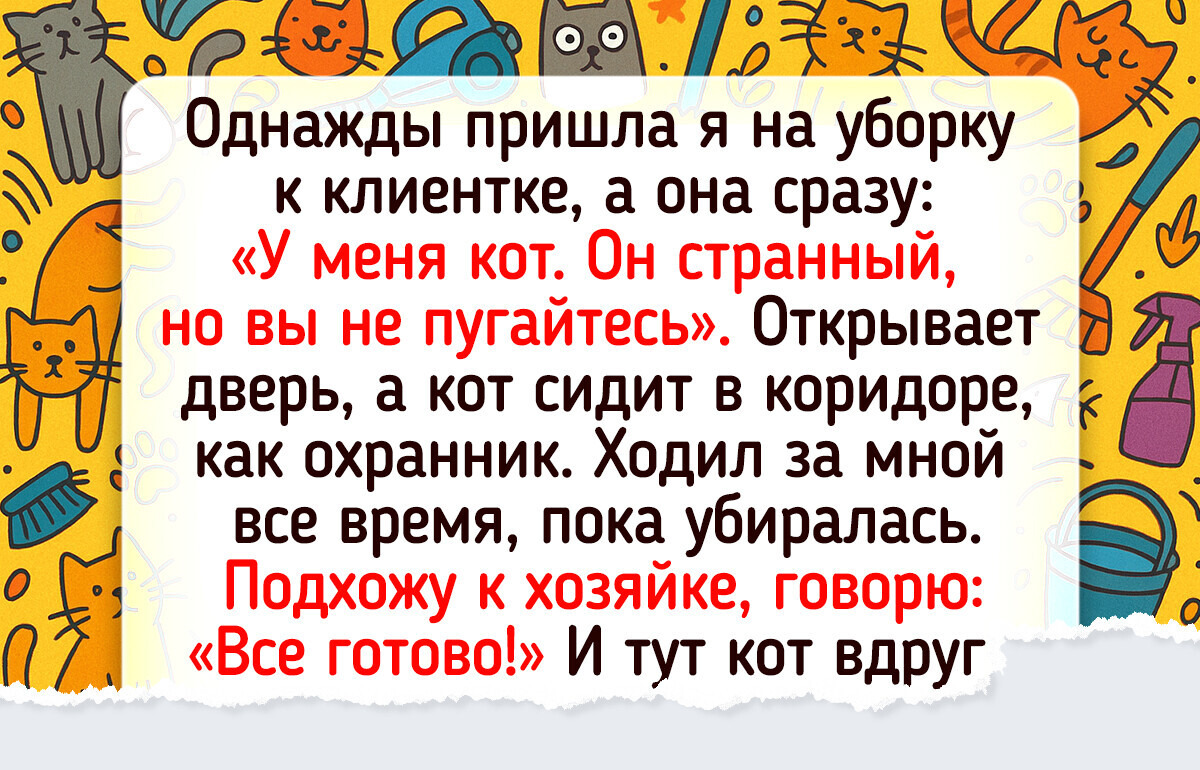 20+ животных, которые для их людей не просто котики и собачки, а самые близкие существа