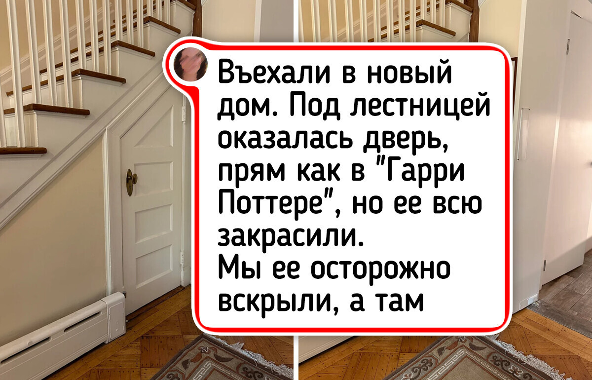 18 новоселов, которых после переезда ждали занятные сюрпризы 18 новоселов, которых после переезда ждали занятные сюрпризы
