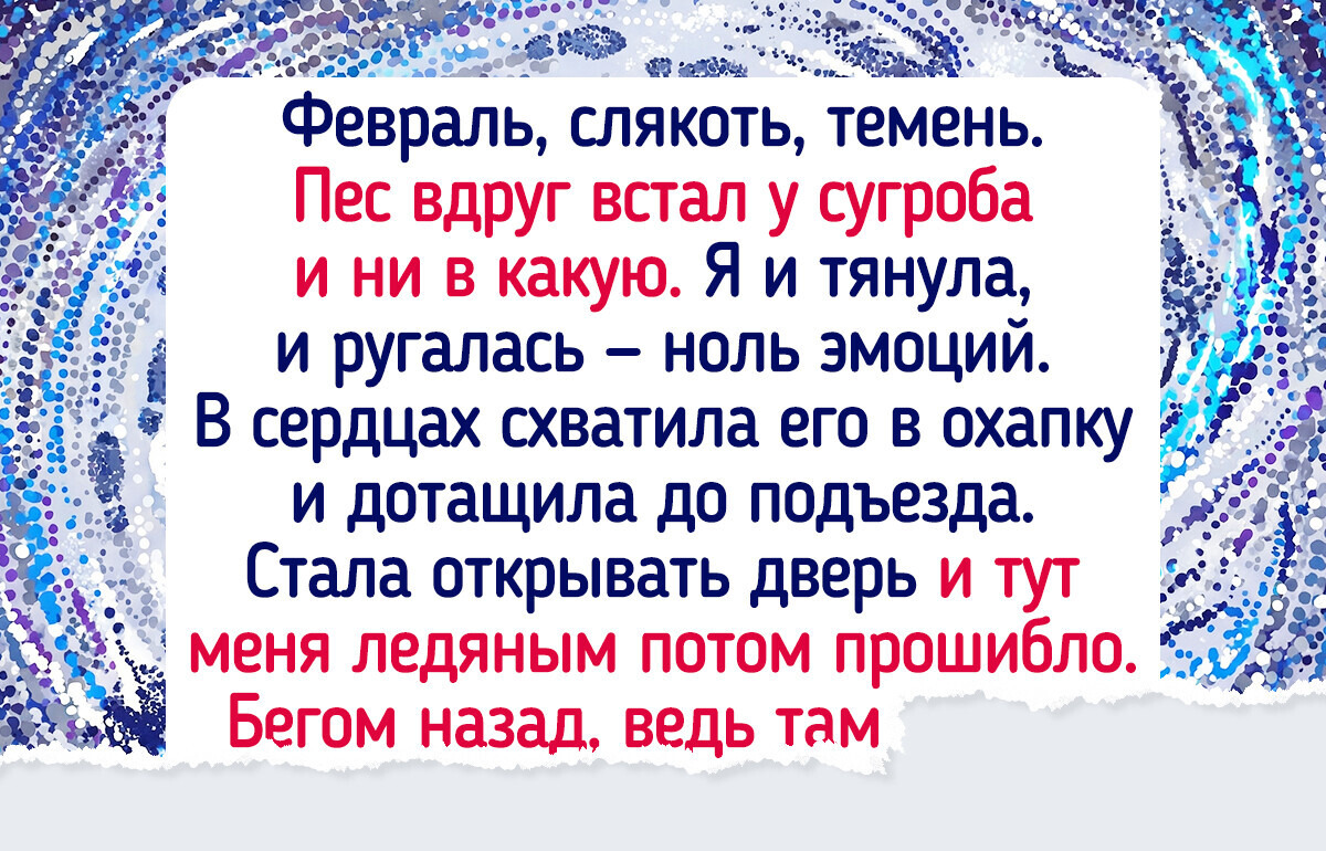 15 человек вышли погулять с питомцем, а вернулись с байкой на все времена