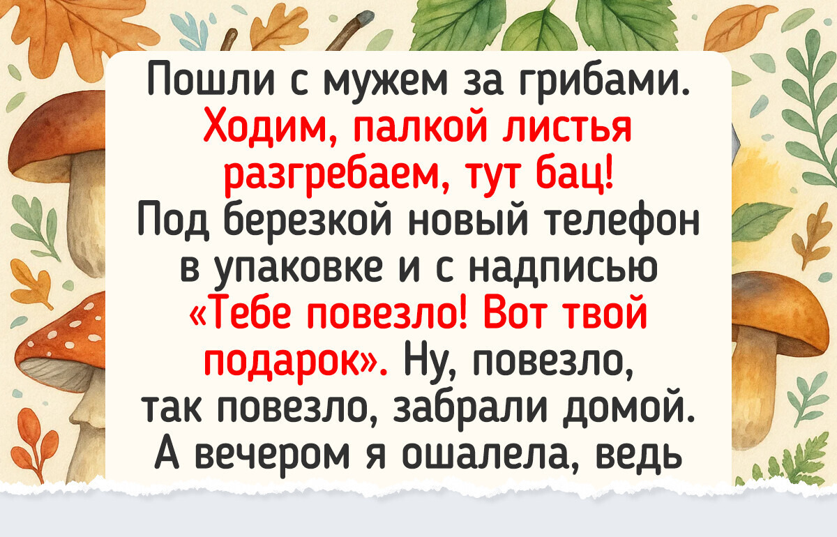 17 потешных историй, которые начались со слов: «Пошли в лес по грибы!» 17 потешных историй, которые начались со слов: «Пошли в лес по грибы!»