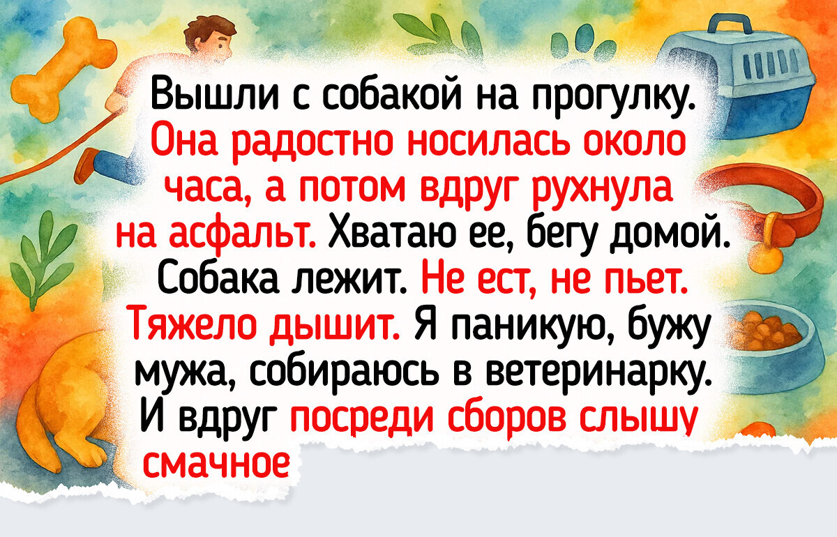 20 доказательств того, что ветеринары — это люди с большим сердцем и чувством юмора