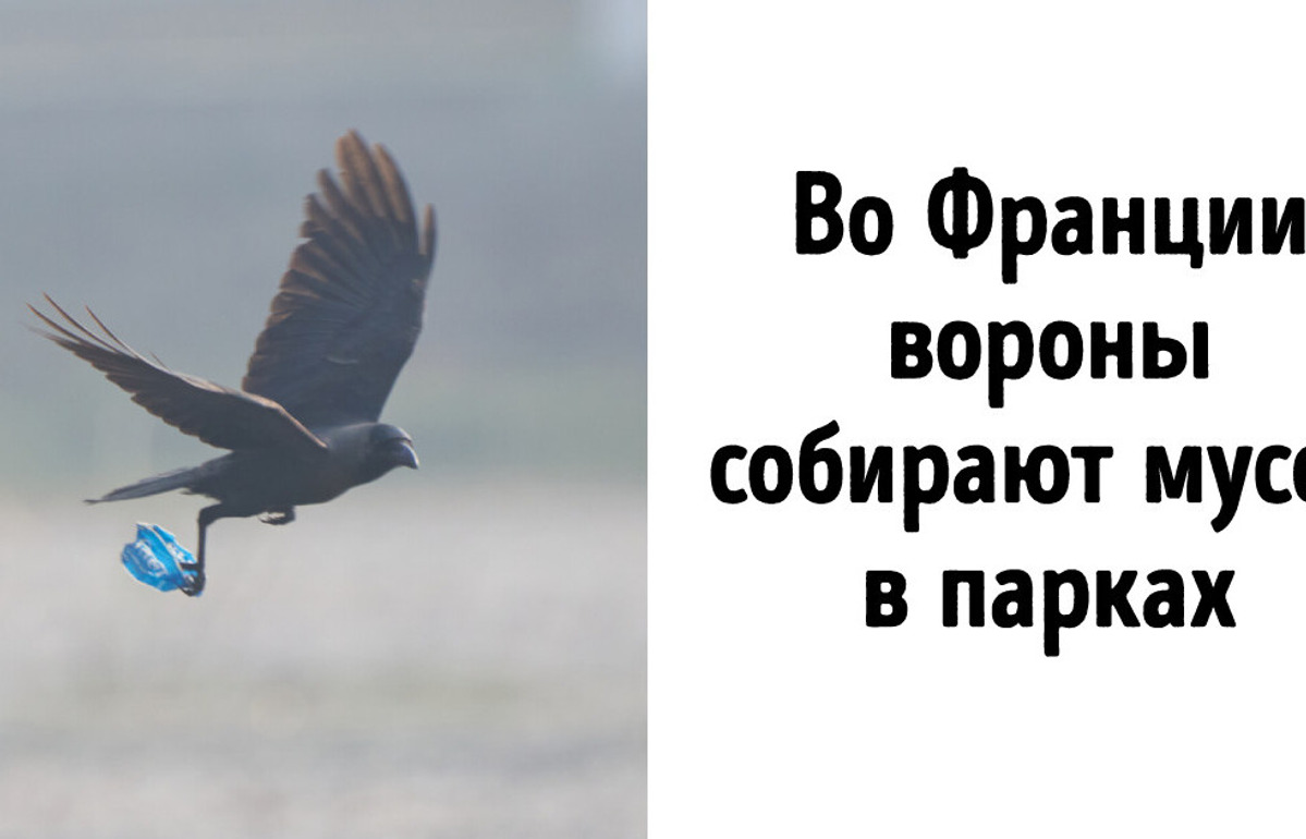 11 удивительных вещей из разных стран, которых нет больше нигде на всей планете