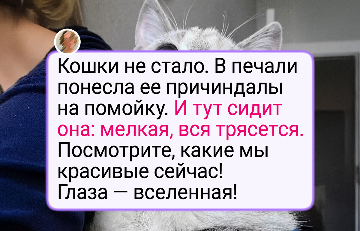 25 трогательных историй о том, как люди заботятся о бездомных животных